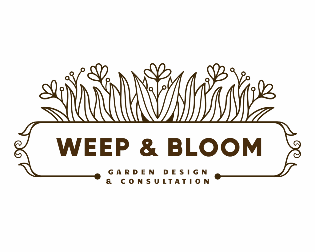fulllogo_transparent